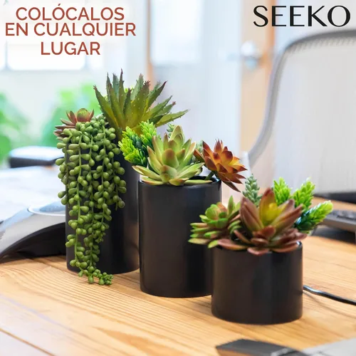 Vista 5 de SEEKO Succulents Plantas artificiales en macetas de cerámica - Plantas