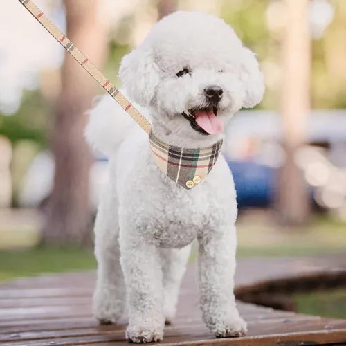 Vista 6 de KOOLTAIL Juego de collar y correa para perro pequeño con corbatín y campanas, lindo collar y correa para cachorros con patrón clásico a cuadros Beige