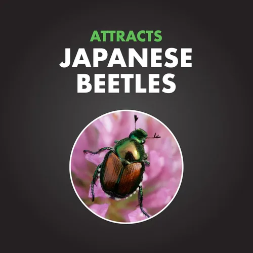Vista 3 de Trampa para escarabajo bag-a-bug japonés de Spectracide, 1 unidad, paquete de 1