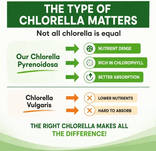 Vista 7 de Chlorella Cápsulas 3000 mg – Pared celular agrietada suplemento de algas verdes azules – La mejor limpieza natural de desintoxicación – Vitaminas