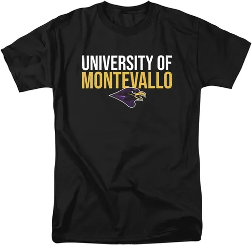 Vista 23 de Colección de camisetas para adultos apiladas colegiales 1 Universidad Estatal de Albany