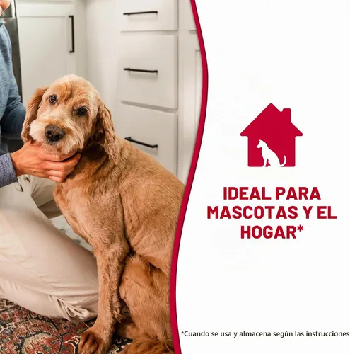 Vista 8 de Nature's Miracle Espuma eliminadora de manchas y olores para perros