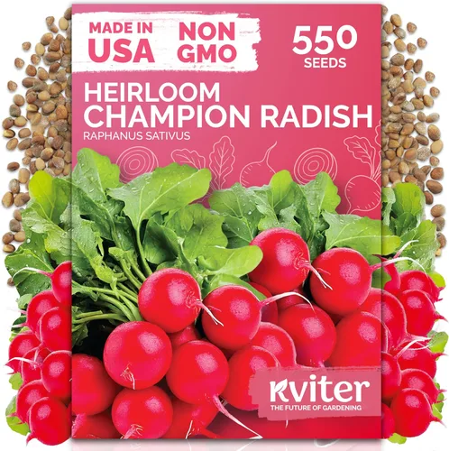 Vista 29 de KVITER 3000 semillas de espinaca egipcias - Molokhia (Corchorus Olitorius) - Hojas de yute, Ewedu, Día de Rau, Semillas de vegetales Saluyot