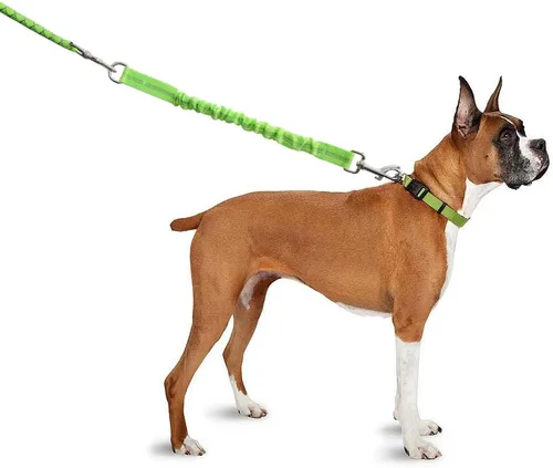 Vista 7 de BTINESFUL Cuerda de amarre para perro de 30 pies + extensión de correa elástica para perro