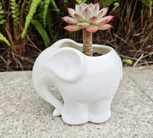 Vista 5 de Maceta de cerámica con forma de elefante, bonito recipiente para suculentas/cactus en forma de animal para decoración del hogar (4 pulgadas, blanco)