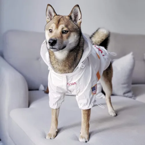 Vista 6 de ChoChoCho Chubasqueros para perro, chaqueta de lluvia reflectante a prueba de agua, disfraz de perro de la NASA, ropa de perro, elegante atuendo