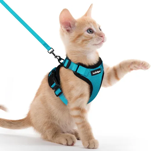 Vista 64 de rabbitgoo Cat Harness and Leash Set, Escape Proof Vest, XXS, Berry Pounce Soft Breathable Mesh, No-choke Adjustable Fit, Snap Buckles, Sturdy