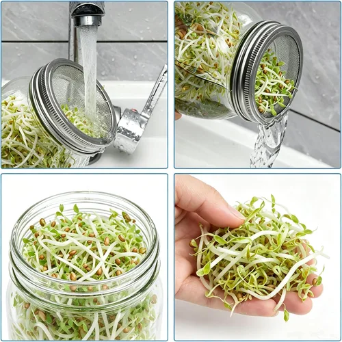 Vista 6 de Lulonpon Juego de 2 tarros para cultivar brotes, tarros de boca ancha de un cuarto de galón con tapas de germinación de pantalla de acero