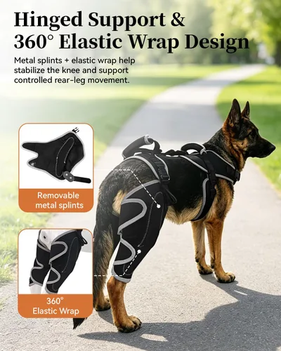 Vista 4 de Soporte ajustable para perro ACL pata trasera, ambas piernas mejoradas, tamaño L