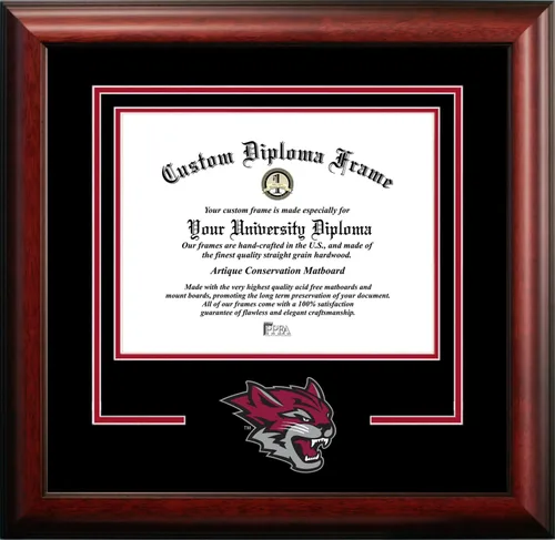 Vista 108 de Marco de Diploma Spirit NCAA