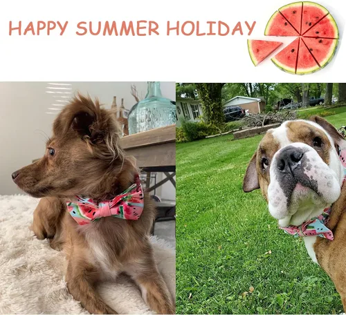 Vista 4 de Unique style paws - Collar con lazo de pera de algodón para perros, collar de verano ajustable para perros pequeños, medianos y grandes - XS