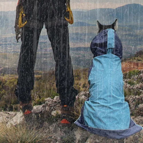 Vista 3 de Impermeable para perro, chaqueta impermeable para perro, chaqueta reflectante para perro con capucha, poncho ligero para perro, abrigo de lluvia Azul