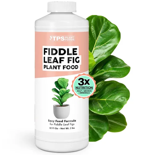 Vista 20 de Fertilizante violeta africana, alimento vegetal líquido para más flores, 1 galón