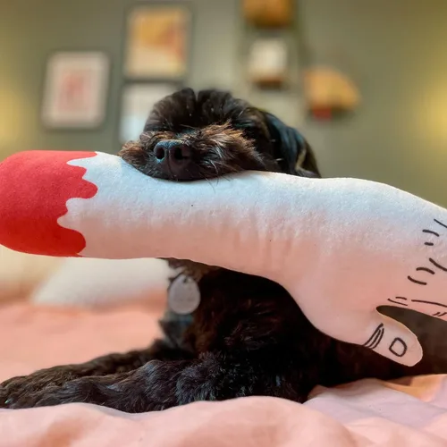 Vista 6 de Juguete de brazo zombi para perro divertido de peluche con chirriador masticable para cachorros