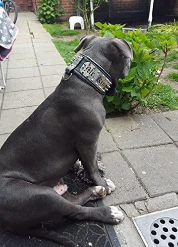 Vista 4 de Bestia Collar de perro personalizado para perreras, solo razas grandes. Tamaño L-XXL, 2.8 pulgadas de ancho. Acolchado. Fabricado en Europa