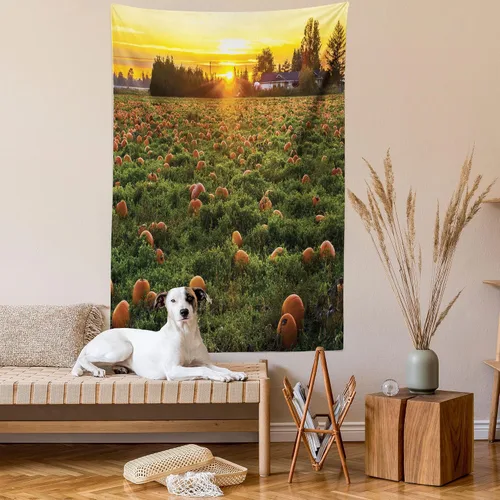 Vista 2 de Ambesonne Tapiz de calabaza de otoño, tamaño Queen, foto temática de agricultura de otoño, parche de frutas de temporada al atardecer, colcha