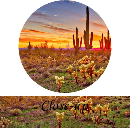 Vista 5 de KREATIVE ARTS Lienzo grande de una sola pieza, desierto sonorano norteamericano al atardecer, impresión en lienzo botánico de cactus paisaje, obra