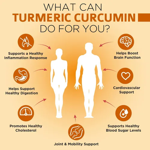 Vista 4 de Suplemento de cúrcuma y curcumina orgánica de 0.05 oz con Bioperina, 95% extracto estandarizado de curcuminoide y polvo de raíz con peperina