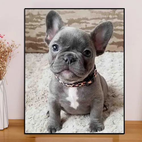 Vista 2 de QAZWSX Pintura de diamante redondo completo para adultos, diseño de perro Bulldog francés, bordado de cristal, manualidades por números, kit