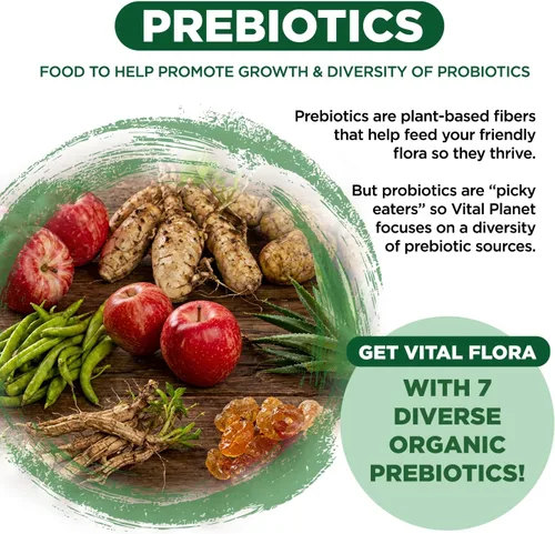 Vista 5 de Vital Planet - Vital Flora - Probiótico diario para adultos mayores de 50 años, 60 mil millones de UFC, 60 cepas diversas, 7 prebióticos orgánicos
