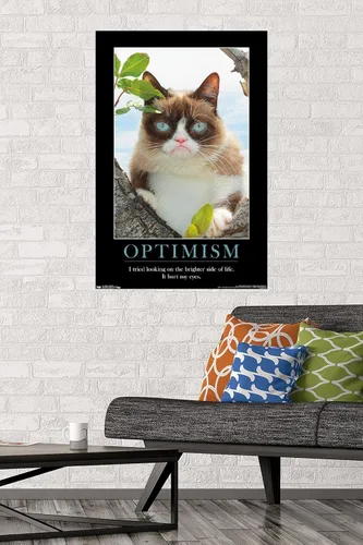 Vista 2 de Trends International Grumpy Cat - Póster de pared The Brighter Side, 22.375" x 34", versión premium sin marco