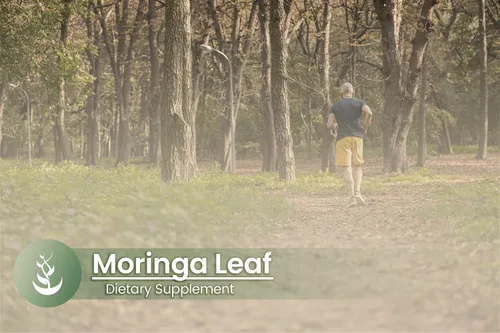 Vista 8 de Pure Original Ingredients Moringa Oleifera (100 cápsulas) siempre puro, sin aditivos ni rellenos, verificado por laboratorio