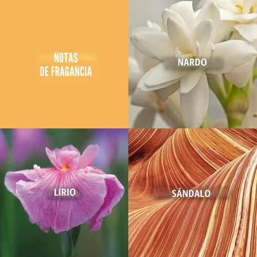 Vista 3 de Evyan Perfume en Polvo de Baño para Mujeres, Hombros Blancos, 2.6 oz