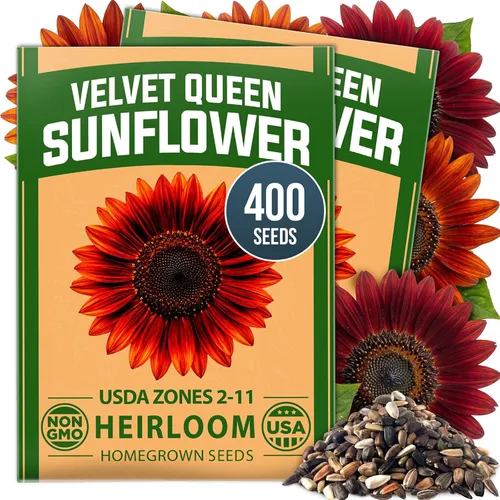 Vista 32 de HOME GROWN Semillas de Hollyhock de doble mezcla de Chater, 200 semillas