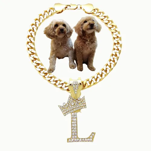 Vista 45 de Collar de cadena con letra inicial cubana para perro, collar de cadena para mascotas, gato, collar para cachorro (S, 25 cm)