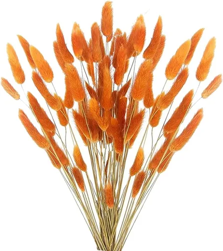 Vista 9 de 60 piezas Flores de Cola de Conejo Secas Hierba Negra de las Pampas Arreglo Floral Natural Seco Flores Secas para Halloween Navidad Decoración Boho