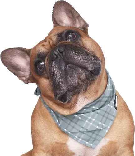 Vista 32 de iChoue Arnés para bulldog francés, ajustable, acolchado, hebilla bloqueada con asa para perros carlino francés, Boston Terrier inglés, azul, talla S