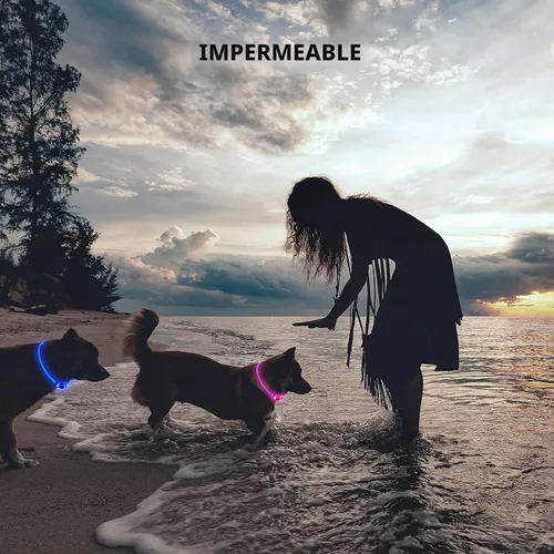 Vista 4 de NOVKIN Collar de perro LED, collar de perro iluminado para caminar por la noche, impermeable IP67, collar para mascotas recargable por USB, luces