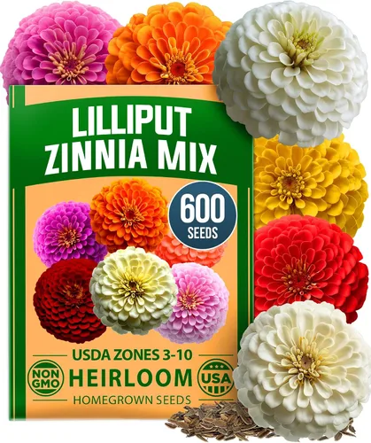 Vista 20 de HOME GROWN Semillas de zinnia rosa – 300 zinnias Luminosa 0.5g, semillas anuales de flores fáciles de cultivar para plantar al aire libre para 2026