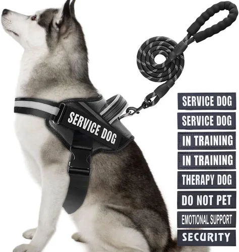 Vista 30 de Juego de Chaleco y Correa para Perro de Servicio, Arnés de Entrenamiento Animire para Perro con 10 Parches para Perros, Correa Reflectante