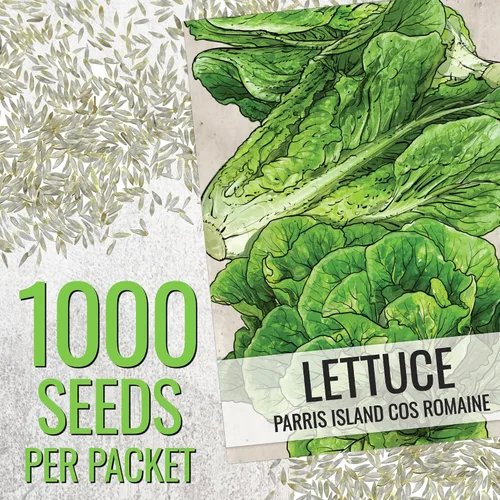 Vista 3 de Seed Needs Semillas de lechuga romana para plantar reliquia y sin OMG, 1 paquete