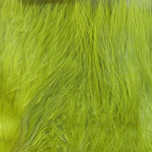 Vista 18 de Hareline Marabou Strung Blood Quills 1 OZ Paquete