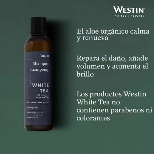 Vista 4 de Westin Champú de aloe de té blanco, champú lleno de vitaminas y antioxidantes para todo tipo de cabello, aroma a aloe de té blanco, 8 onzas