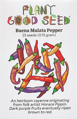 Vista 3 de Plant Good Seed Semillas orgánicas de chile de cayena – Paquete de 40, semillas tradicionales para plantar verduras – Suministros de jardinería