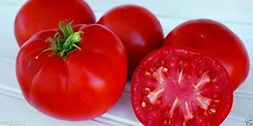 Vista 2 de Tomate tradicional "Super Sioux" (50 semillas) ideal para sándwiches, ensaladas, rebanadas