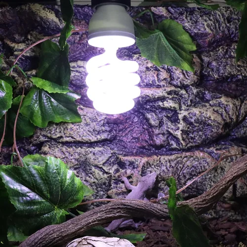 Vista 7 de Aiicioo UVB Reptile Light 10.0 23W Desert UVB Spiral Lámpara fluorescente compacta UVB Bombilla de reptil UVB Tropical y Subtropical Bombilla UVB