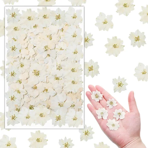 Vista 9 de Woanger 100 piezas de flores secas prensadas pequeñas flores secas de resina natural real, relleno de recortes para manualidades de resina