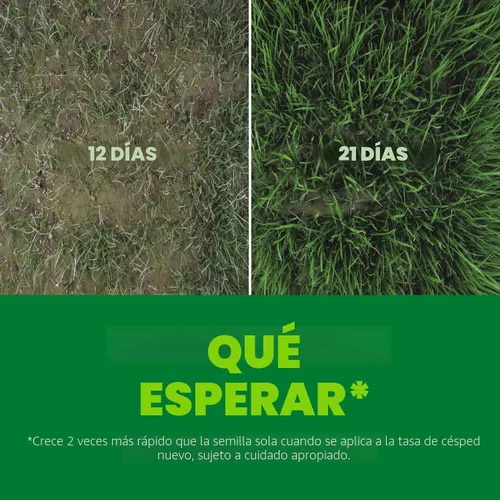 Vista 4 de Mezcla de semillas de césped Scotts Turf Builder Rapid Grass Sun & Shade Mix de doble crecimiento rápido para sombra y sol; combinación de semillas