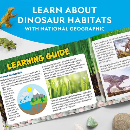 Vista 7 de National Geographic - Kit de terrario iluminado para niños, construye un hábitat de dinosaurios con plantas reales y piedras preciosas, kit