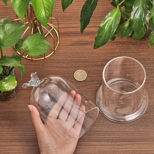 Vista 3 de CHGCRAFT Cubierta de cúpula de cristal con diseño de pájaro en forma de arco con base de vidrio, vitrina decorativa para portavelas, plantas