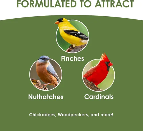 Vista 3 de Kaytee Wild Bird Ultimate Alimento para Aves Silvestres Sin Desorden, Semillas para Cardenales, Pinzones, Carboneros, Trepadores Azules, Pájaros