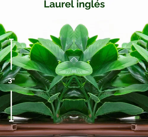 Vista 3 de NatraHedge Pantalla de valla de privacidad de celosía extensible de hoja de laurel inglés artificial Laurel Leaf