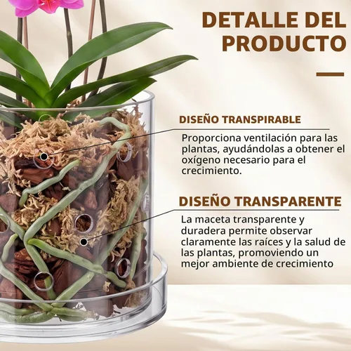 Vista 3 de Maceta de orquídea acrílica transparente de 8 pulgadas con agujeros