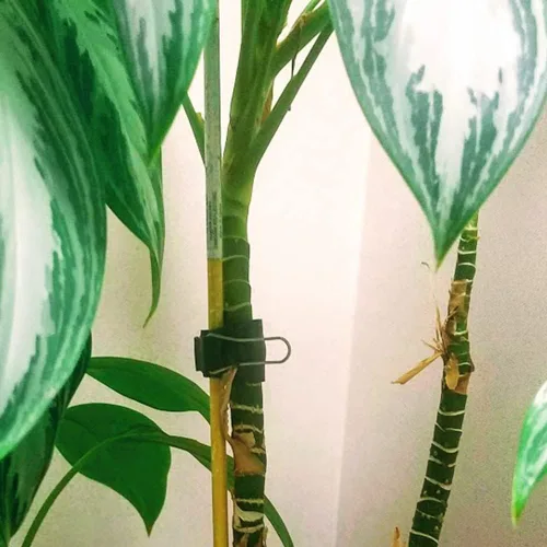 Vista 6 de Clips reutilizables para jardín y cables – Soportes de abrazadera para interiores y exteriores para plantas, cables, cables, tiras de luces