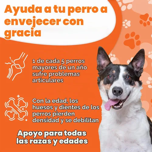 Vista 3 de Boneo Fórmula de mantenimiento canino - Suplemento para huesos y articulaciones a base de lactoferrina para perros, 90 tabletas masticables, sabor a