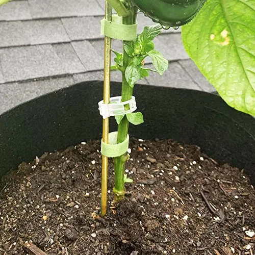 Vista 6 de 20 estacas de bambú natural de 18 pulgadas para plantas de interior, palos de bambú, estacas de bambú de jardín para plantas en maceta, tomate